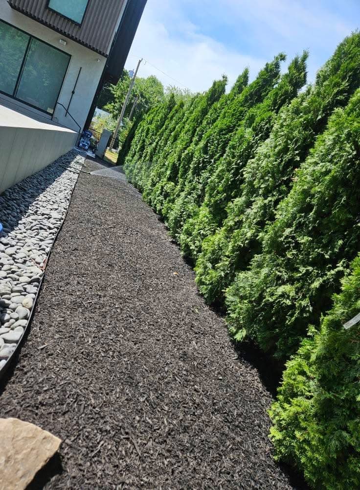 Natural living privacy wall installation with hedges and shrubs in Andover Kansas