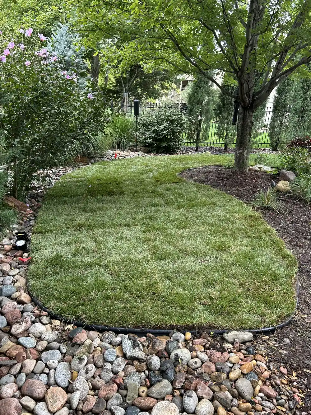 Landscaped lawn with a curved rock border and mature tree