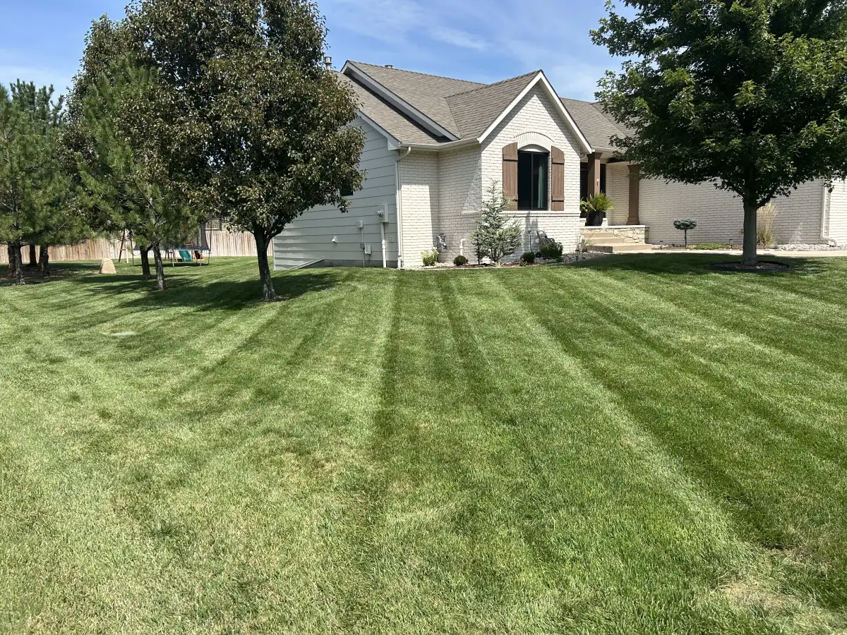 Thick weed-free lawn in Wichita KS after Prestige Lawn Care fertilization and weed control